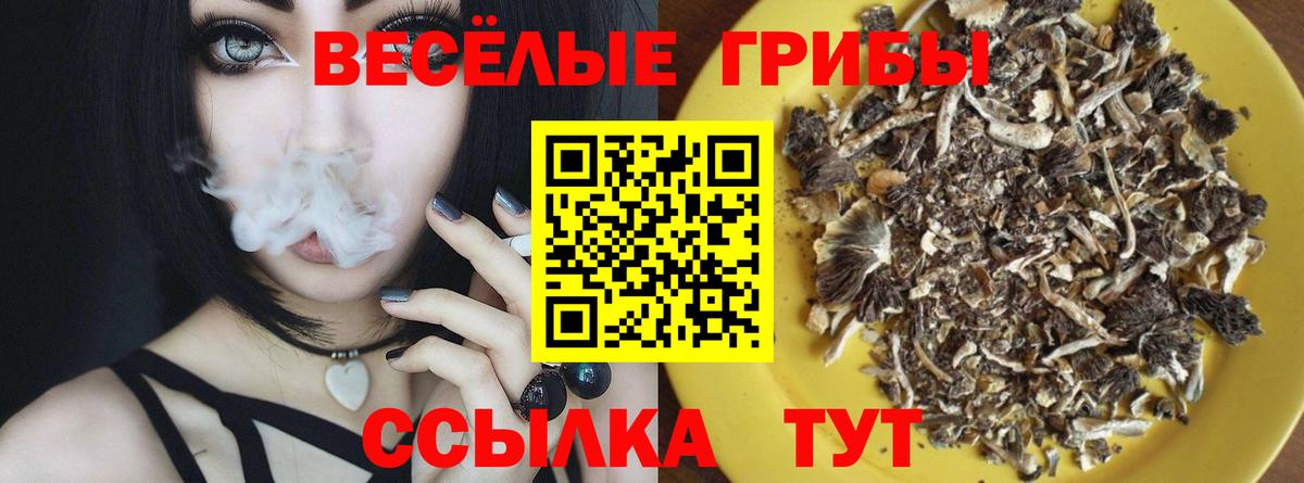 Галлюциногенные грибы прущие грибы  Вход с VPN  даркнет сайт  Галлюциногенные грибы мухоморы  Южноуральск 