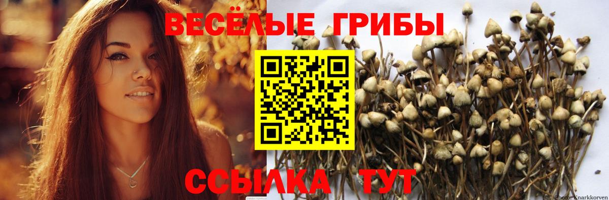 Галлюциногенные грибы мицелий Южноуральск